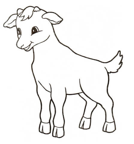Desenho de Touros para colorir