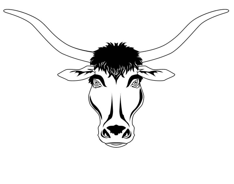 Desenho de Touros para colorir