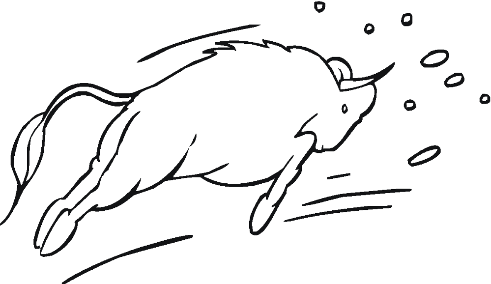 Desenho de Touros para colorir