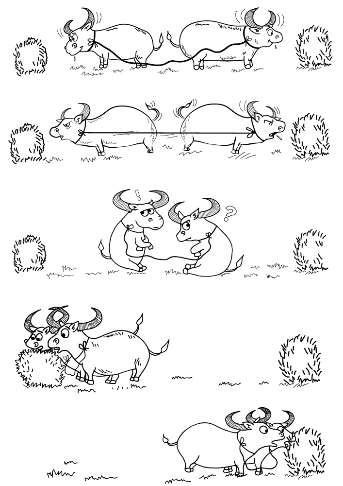 Desenho de Touros para colorir