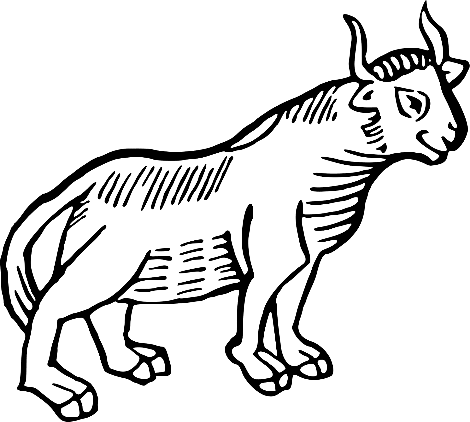 Desenho de Touros para colorir