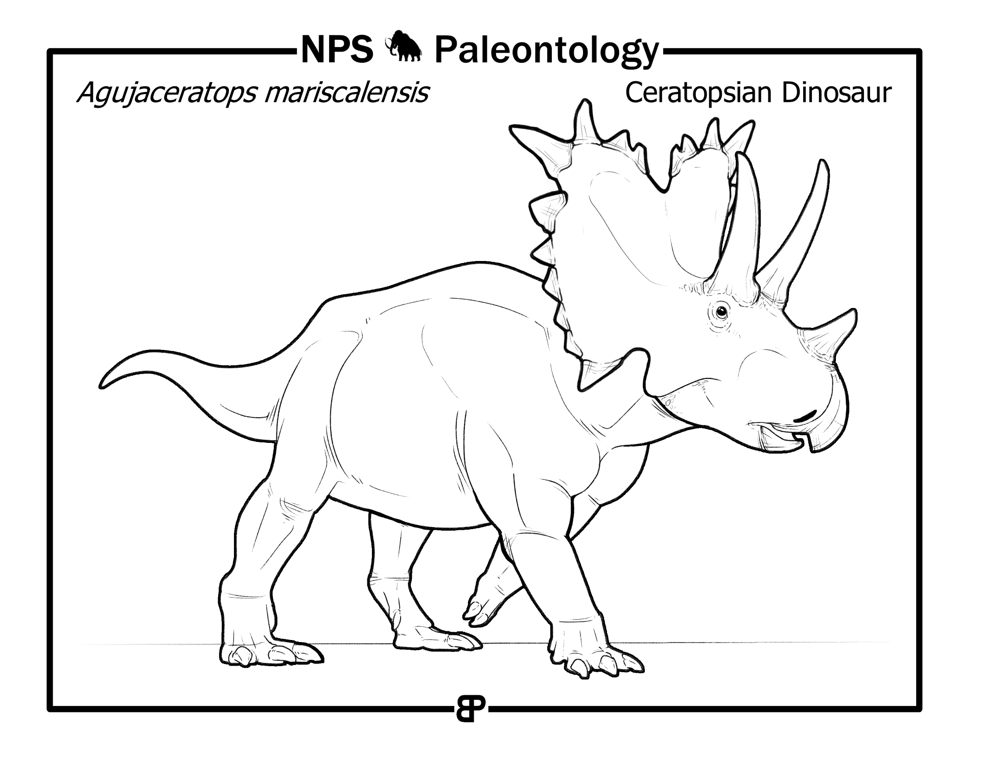 Desenho de Tricerátopo para colorir e imprimir: número 9