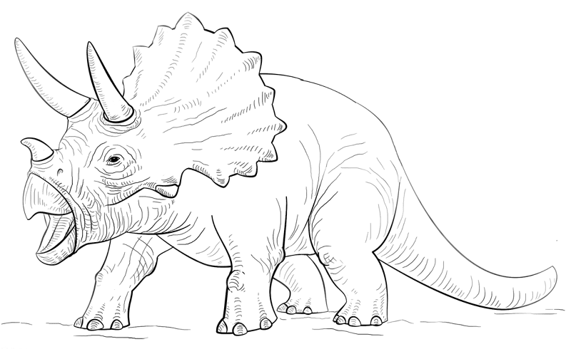 Desenho de Tricerátopo para colorir e imprimir: número 29