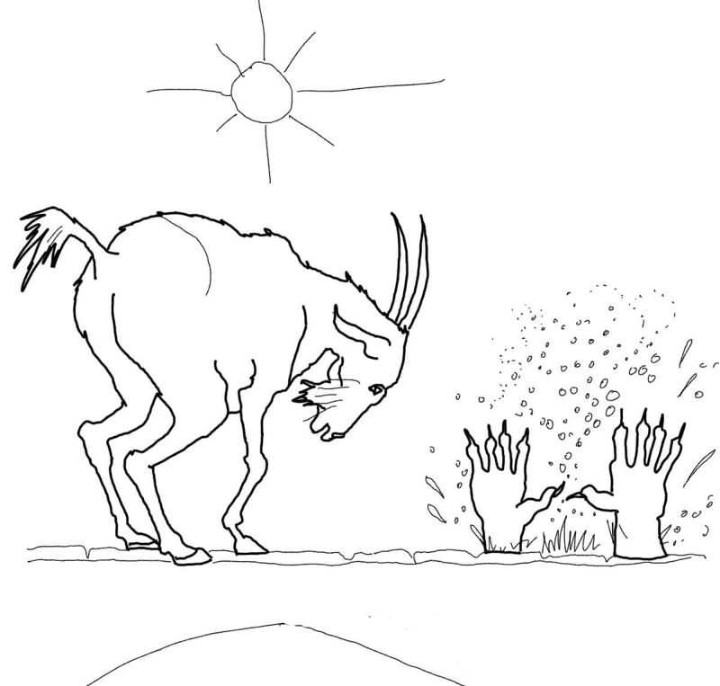 Desenho de Trolls para colorir e imprimir: número 7