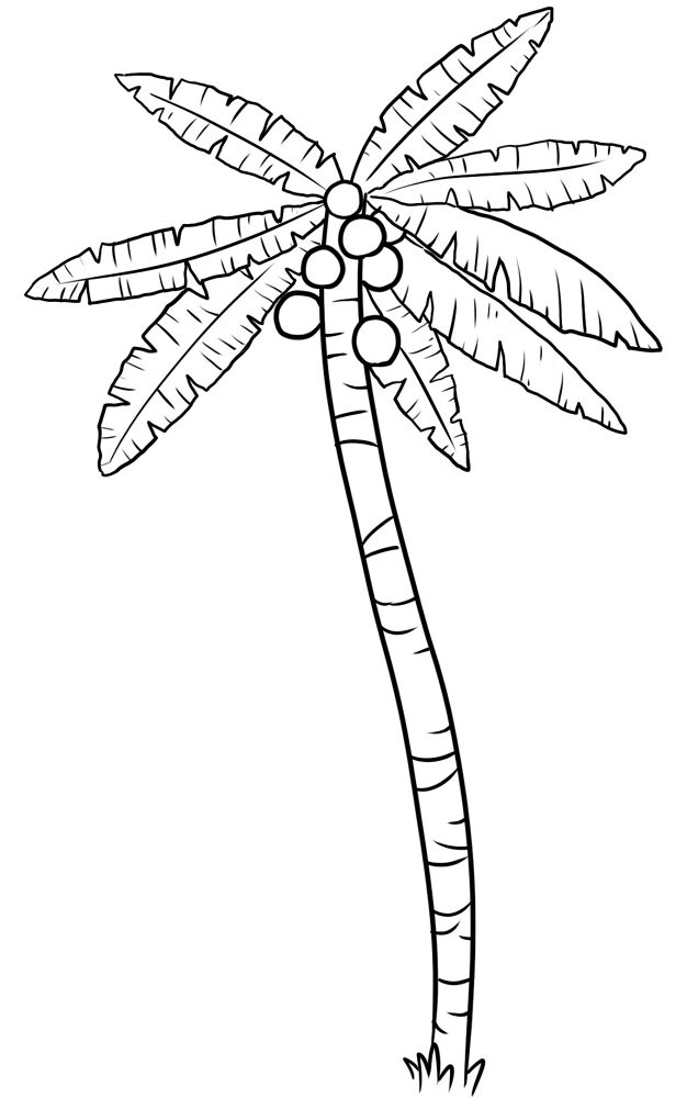 Desenho de Tropical para colorir e imprimir: número 3