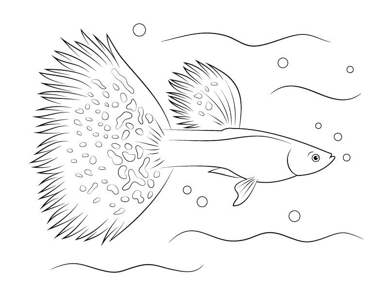 Desenho de Tropical para colorir e imprimir: número 10