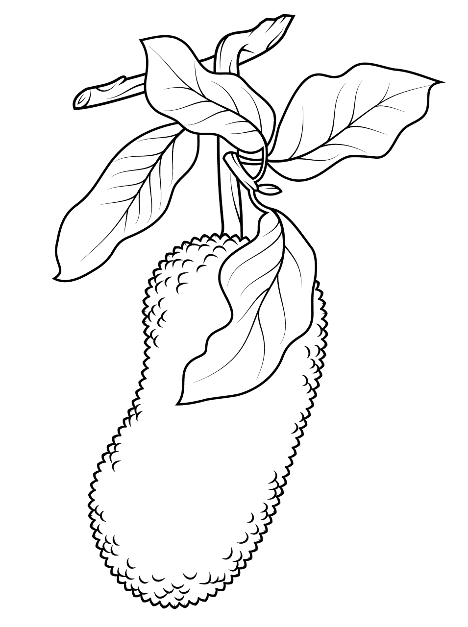Desenho de Tropical para colorir e imprimir: número 13