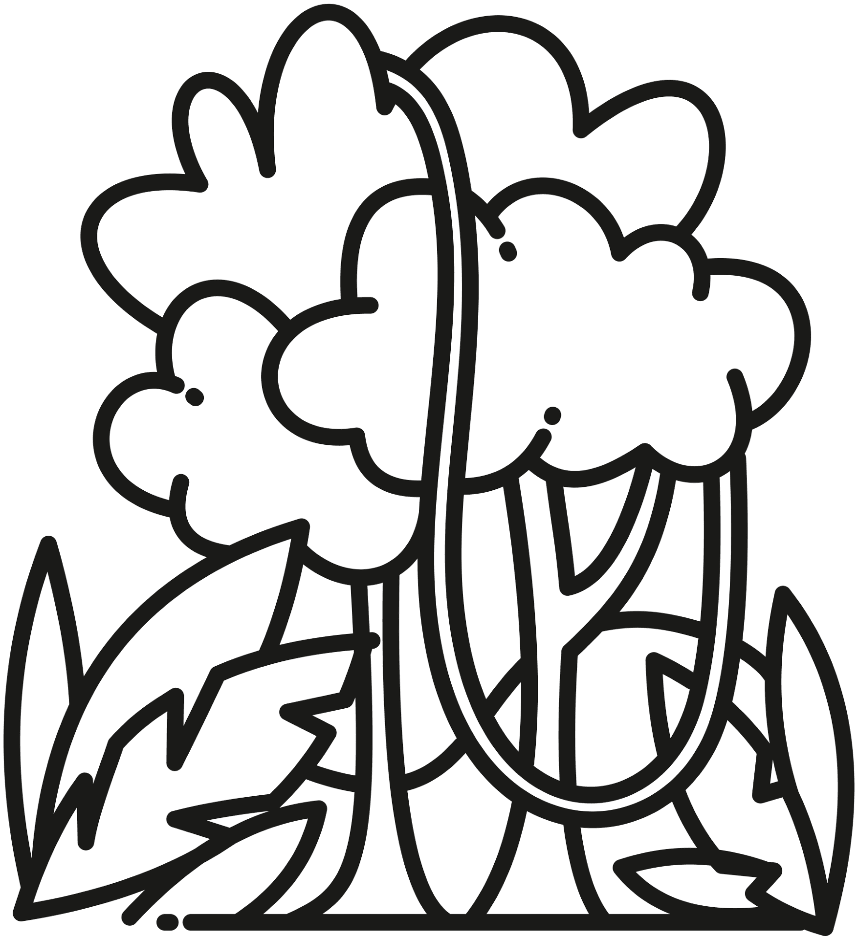 Desenho de Tropical para colorir e imprimir: número 21