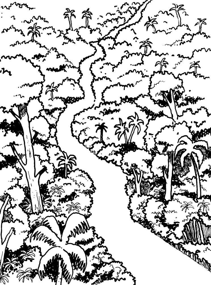 Desenho de Tropical para colorir e imprimir: número 22