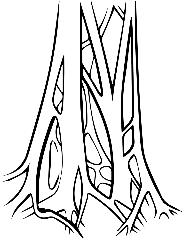 Desenho de Tropical para colorir e imprimir: número 24