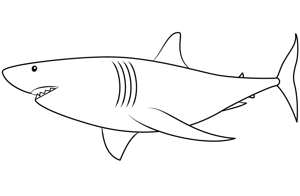 Desenho de Tubarões para colorir e imprimir: número 4
