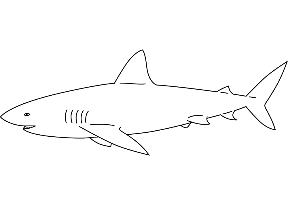 Desenho de Tubarões para colorir e imprimir: número 6