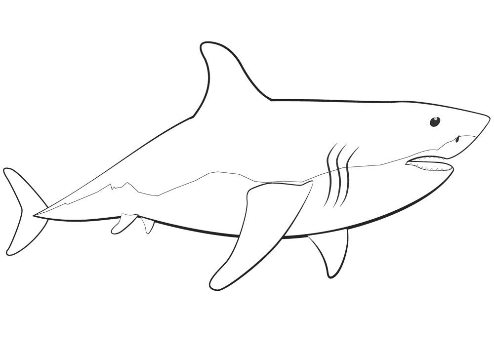 Desenho de Tubarões para colorir e imprimir: número 12