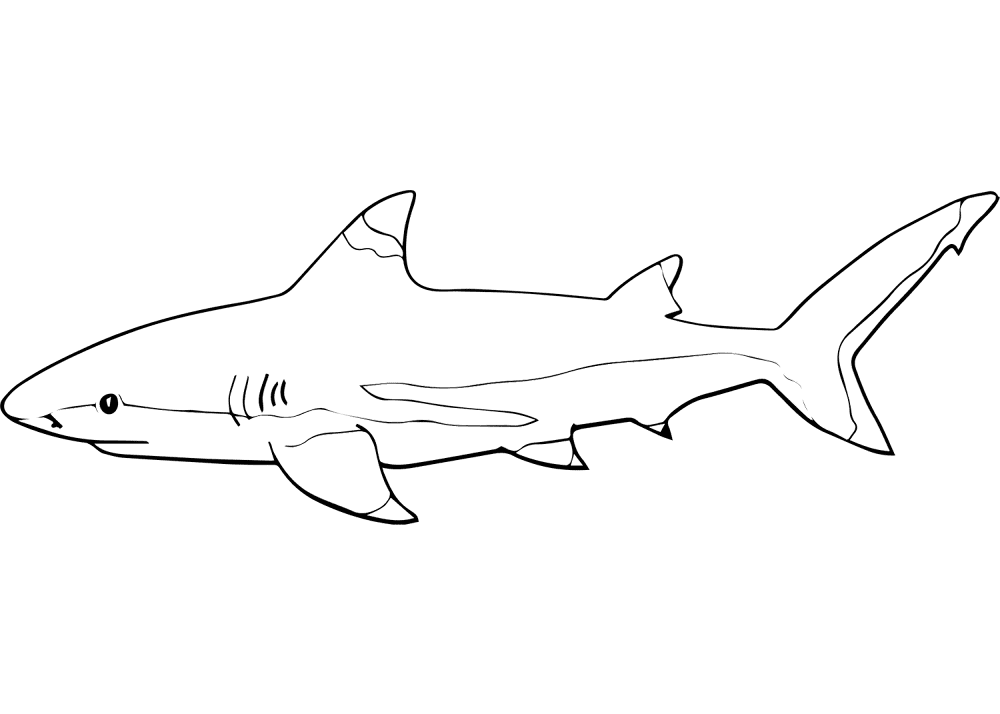 Desenho de Tubarões para colorir e imprimir: número 14