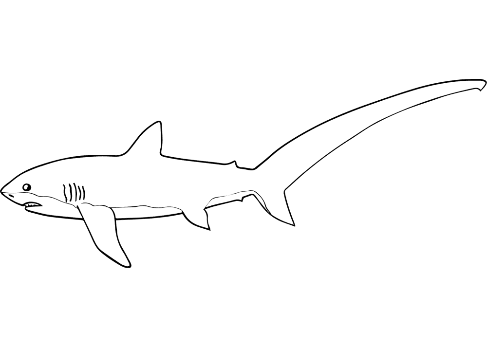 Desenho de Tubarões para colorir e imprimir: número 18
