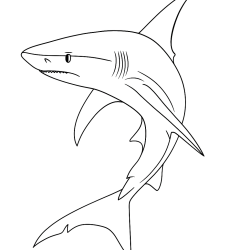 Desenho de Tubarões para colorir e imprimir: número 22