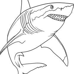 Desenho de Tubarões para colorir e imprimir: número 24