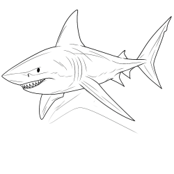Desenho de Tubarões para colorir e imprimir: número 26