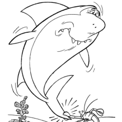 Desenho de Tubarões para colorir e imprimir: número 30
