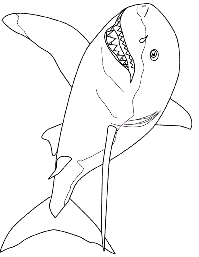 Desenho de Tubarões para colorir e imprimir: número 35