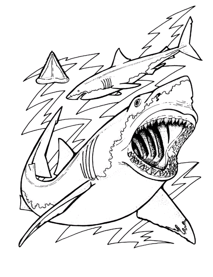 Desenho de Tubarões para colorir e imprimir: número 37