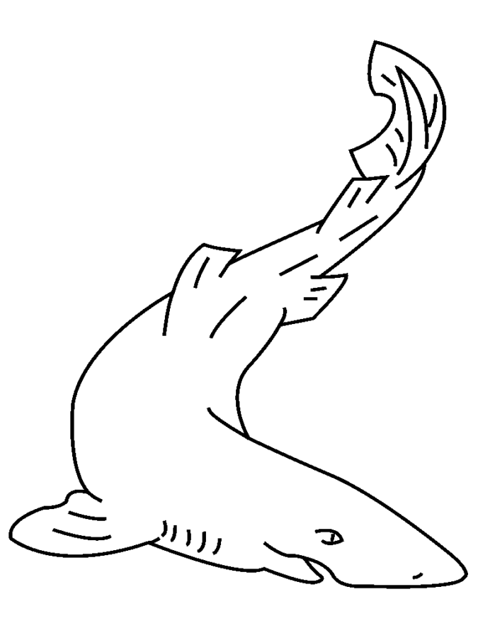 Desenho de Tubarões para colorir e imprimir: número 38
