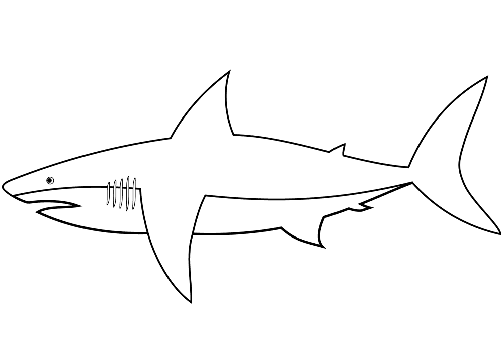 Desenho de Tubarões para colorir e imprimir: número 41