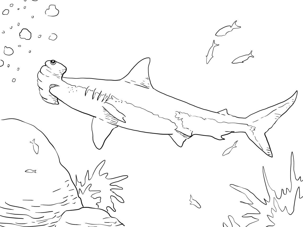 Desenho de Tubarões para colorir e imprimir: número 43
