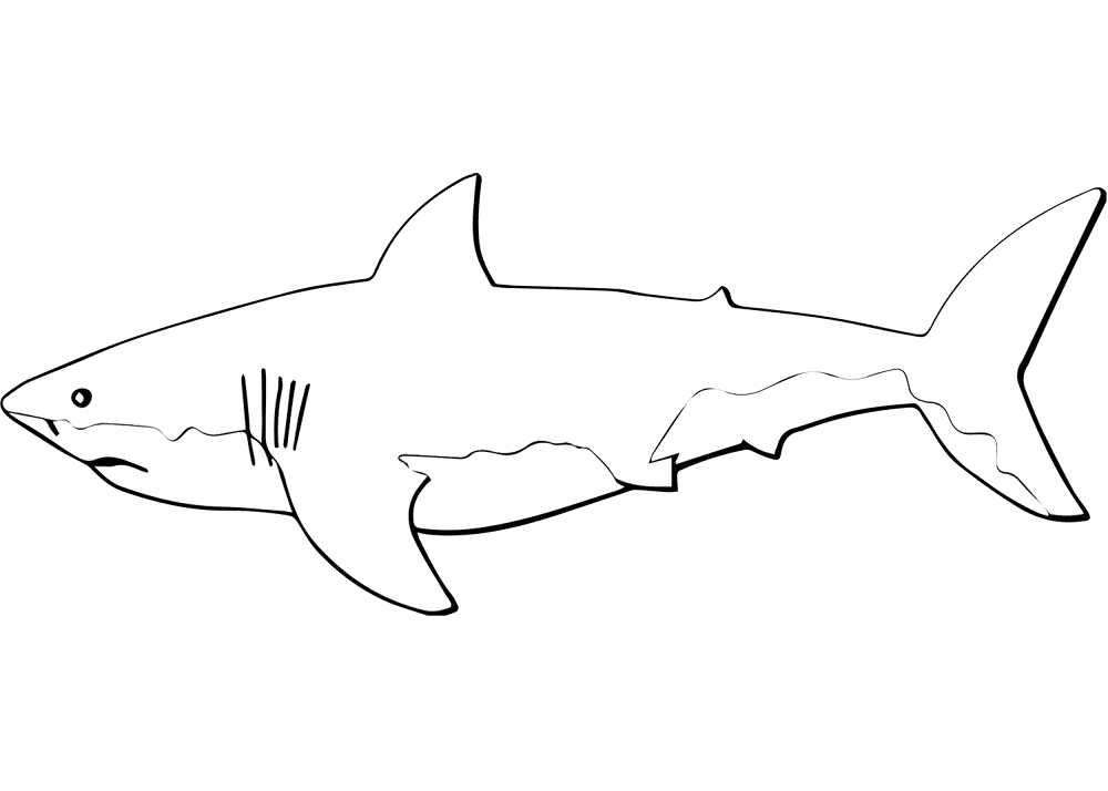 Desenho de Tubarões para colorir e imprimir: número 44
