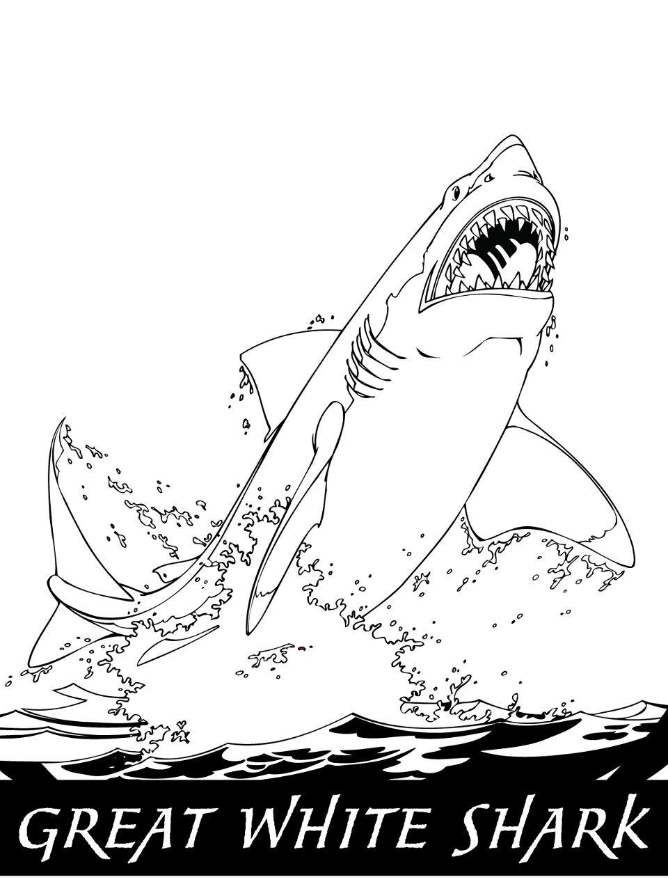 Desenho de Tubarões para colorir e imprimir: número 47