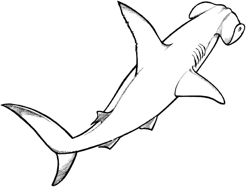 Desenho de Tubarões para colorir