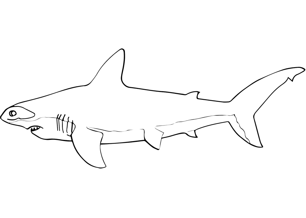 Desenho de Tubarões para colorir