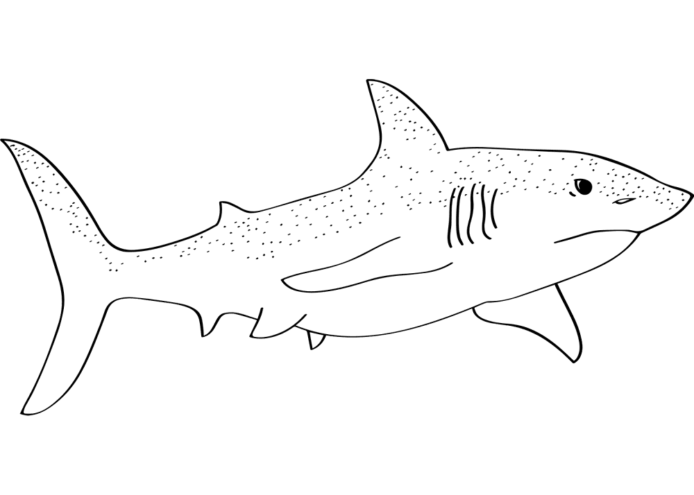 Desenho de Tubarões para colorir