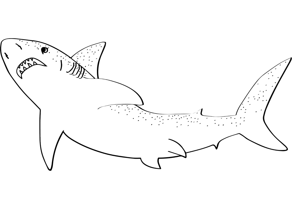 Desenho de Tubarões para colorir