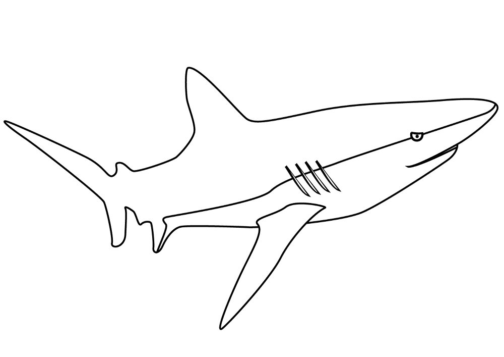 Desenho de Tubarões para colorir