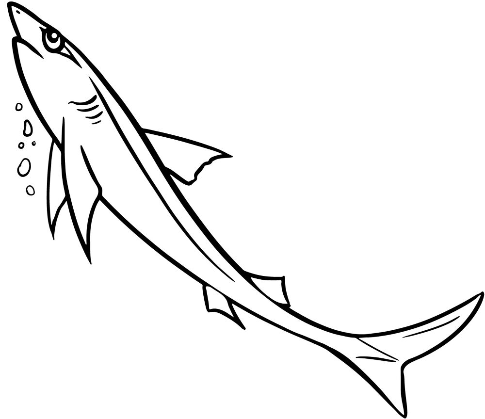 Desenho de Tubarões para colorir