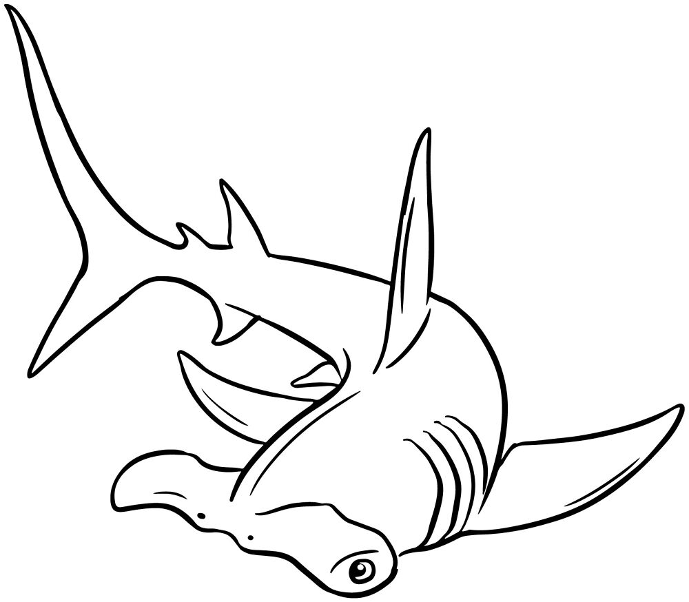 Desenho de Tubarões para colorir