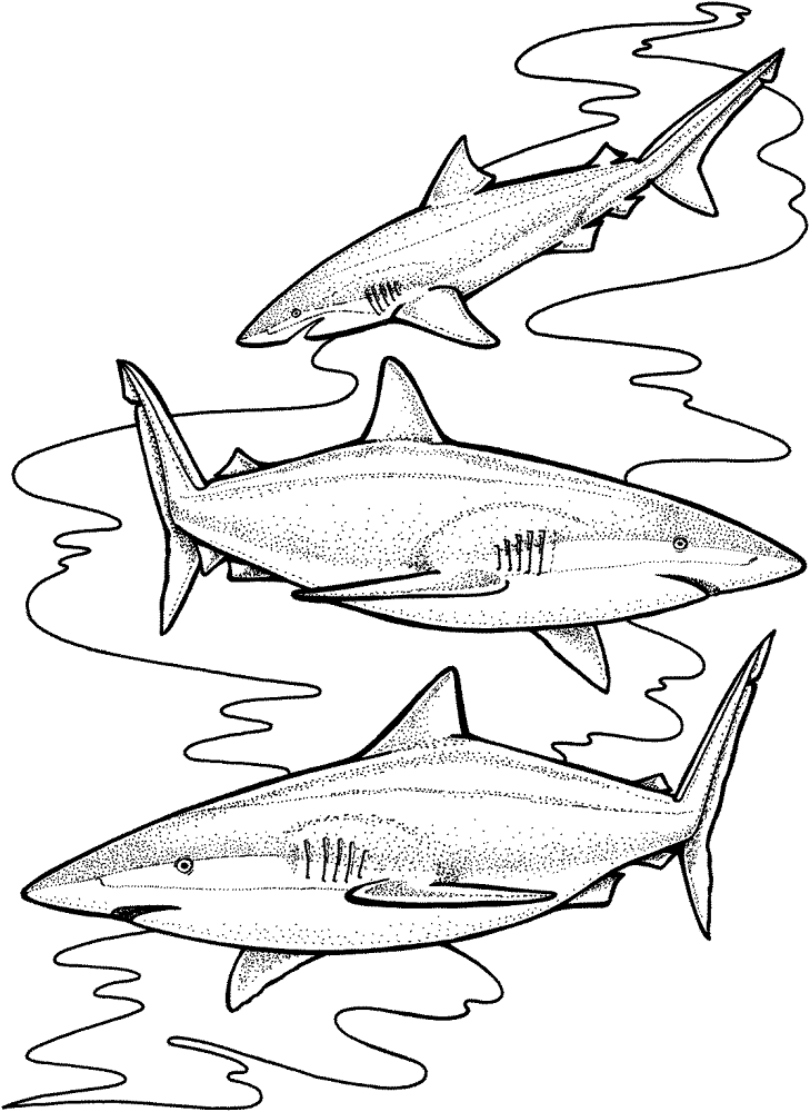 Desenho de Tubarões para colorir