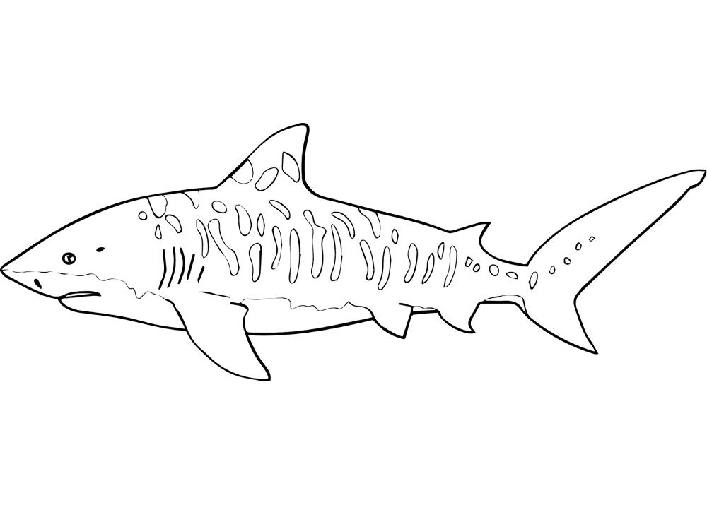 Desenho de Tubarões para colorir