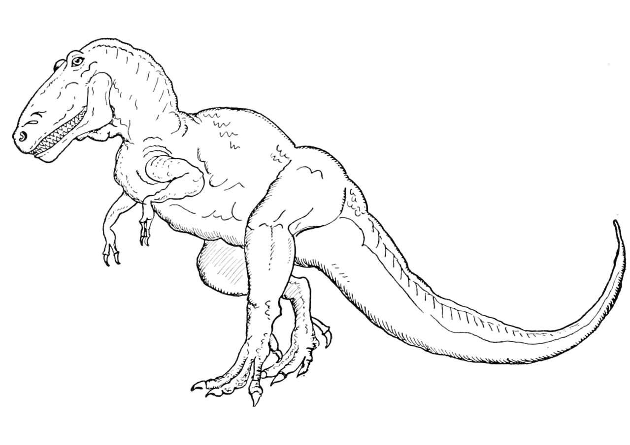 Desenho de Tyrannosaurus Rex para colorir e imprimir: número 1