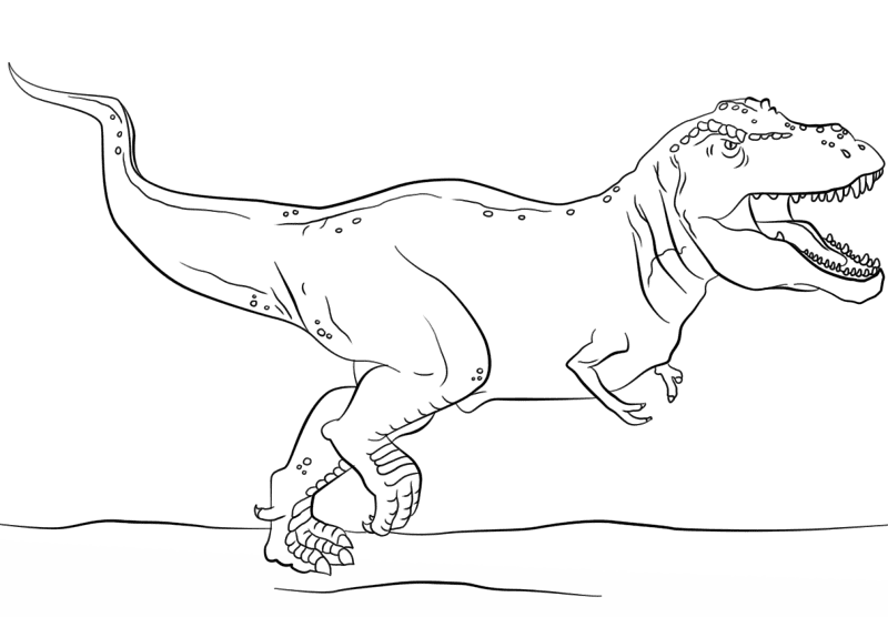 Desenho de Tyrannosaurus Rex para colorir e imprimir: número 3