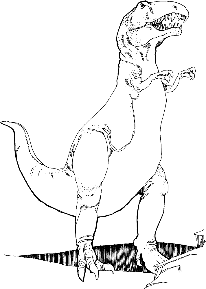 Desenho de Tyrannosaurus Rex para colorir e imprimir: número 5