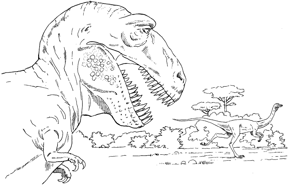 Desenho de Tyrannosaurus Rex para colorir e imprimir: número 6