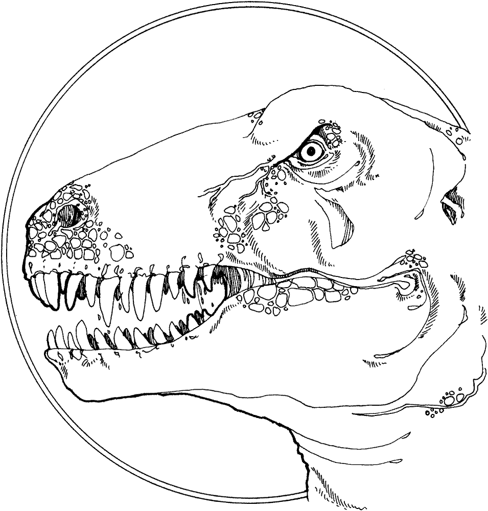 Desenho de Tyrannosaurus Rex para colorir