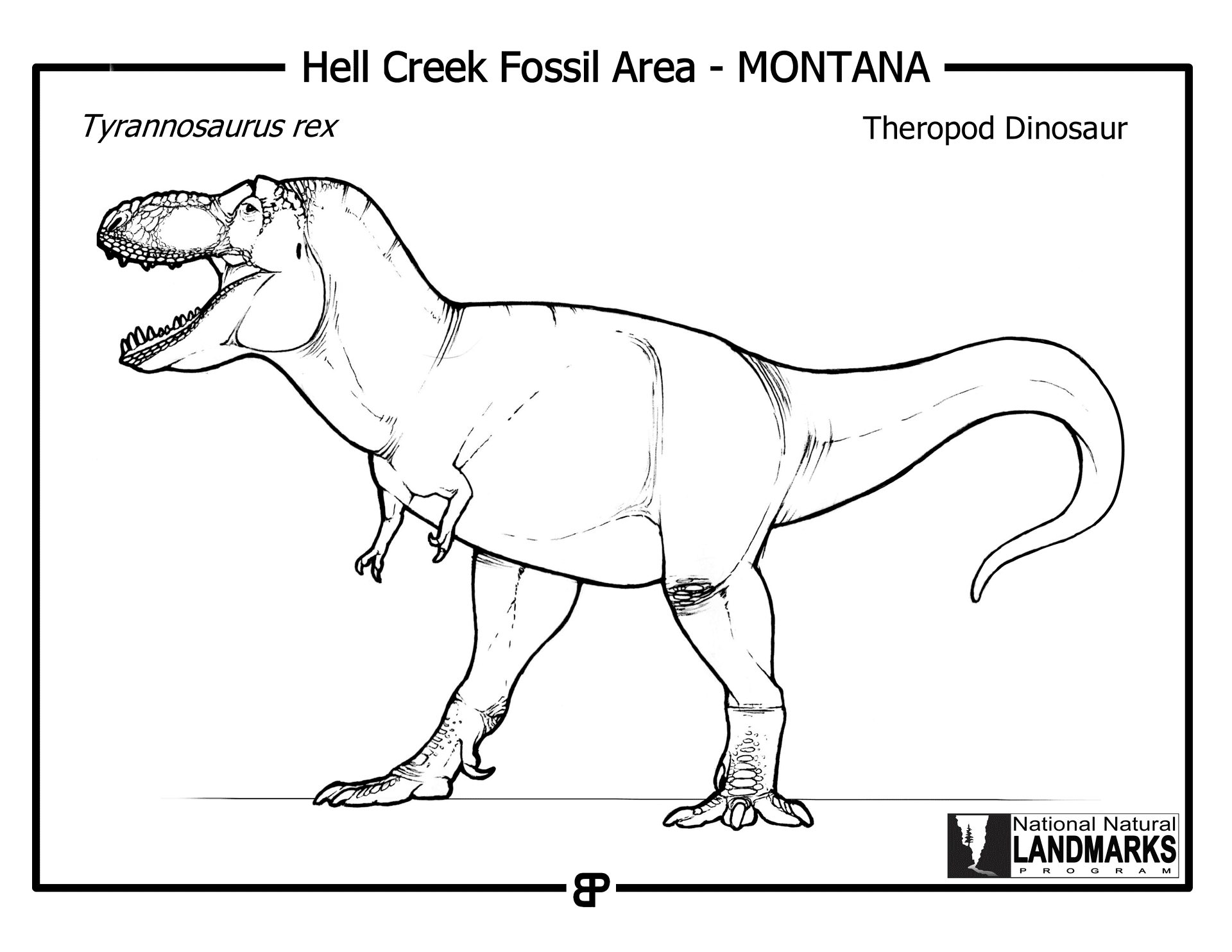Desenho de Tyrannosaurus Rex para colorir