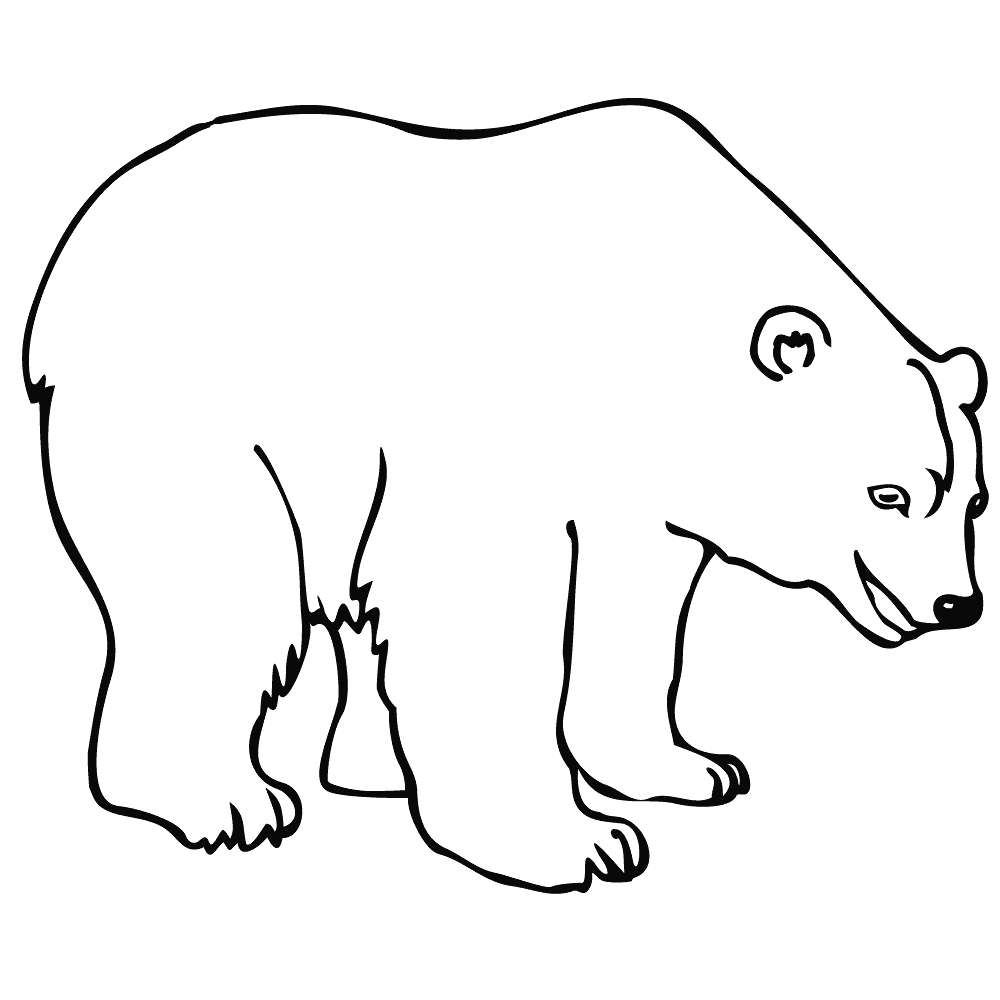 Desenho de Urso Polar para colorir e imprimir: número 10