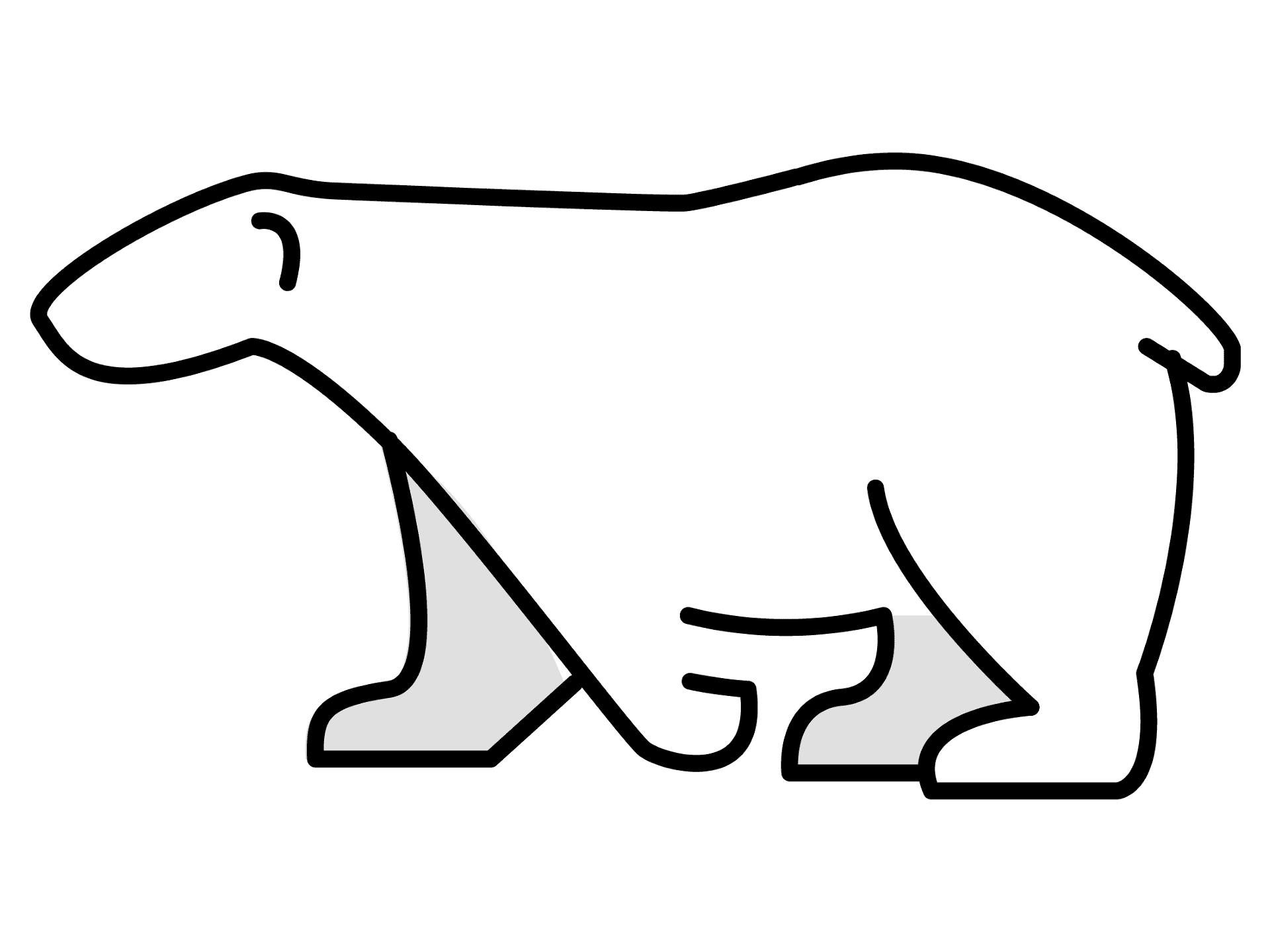 Desenho de Urso Polar para colorir e imprimir: número 11