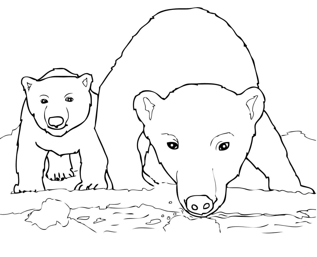 Desenho de Urso Polar para colorir e imprimir: número 23