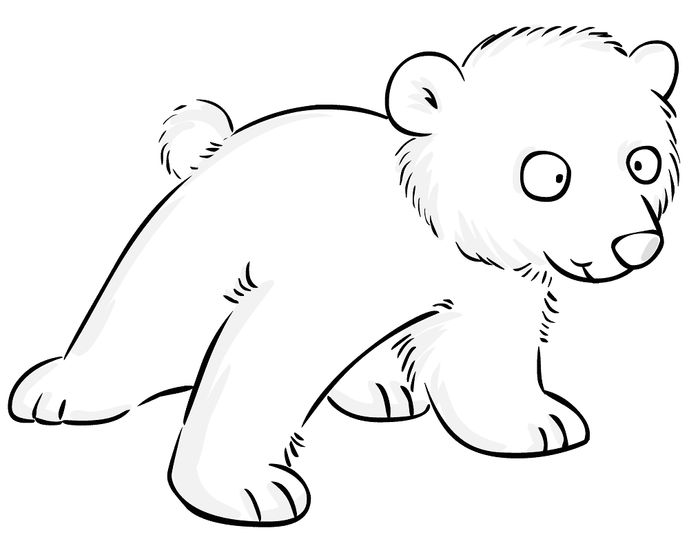 Desenho de Urso Polar para colorir e imprimir: número 24
