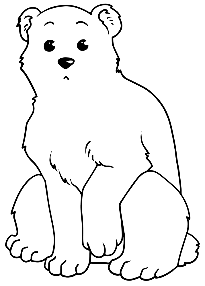 Desenho de Urso Polar para colorir e imprimir: número 25
